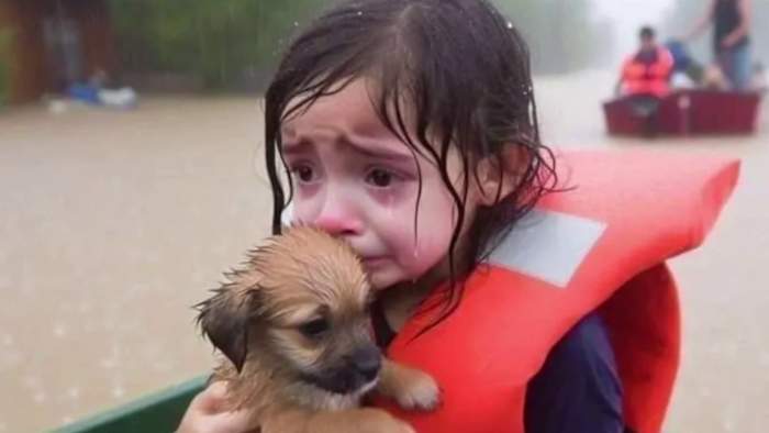 Hurricane Girl + Puppy